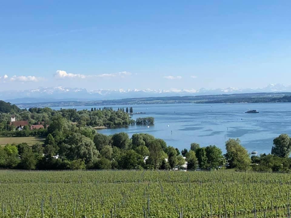 Ferienwohnung "Schmuckstueck Am Tor" Meersburg Bagian luar foto